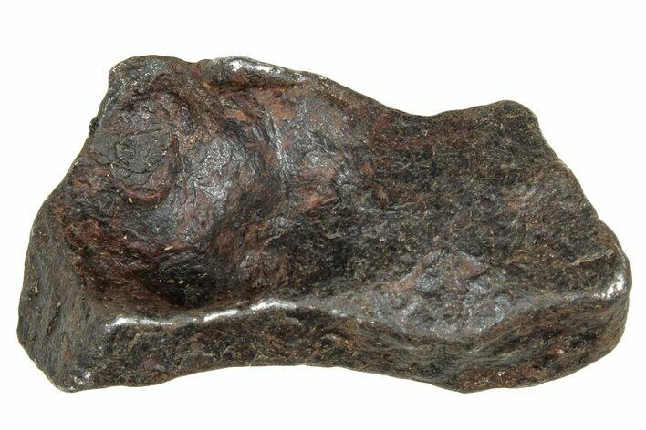 Canyon Diablo Iron Meteorite ( g) - Arizona #303501